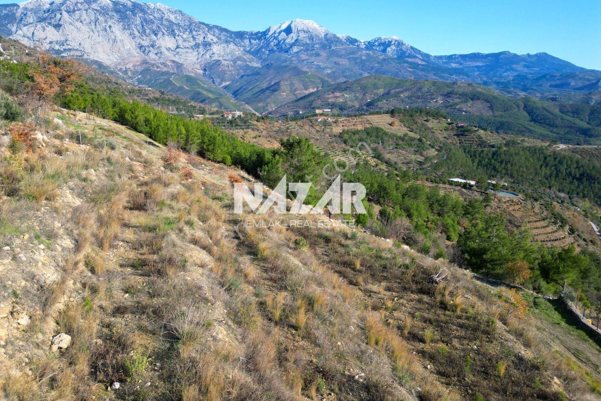 Alanya Yaylakonak’ta 3.299 M² Satılık Tarla - Görsel 13