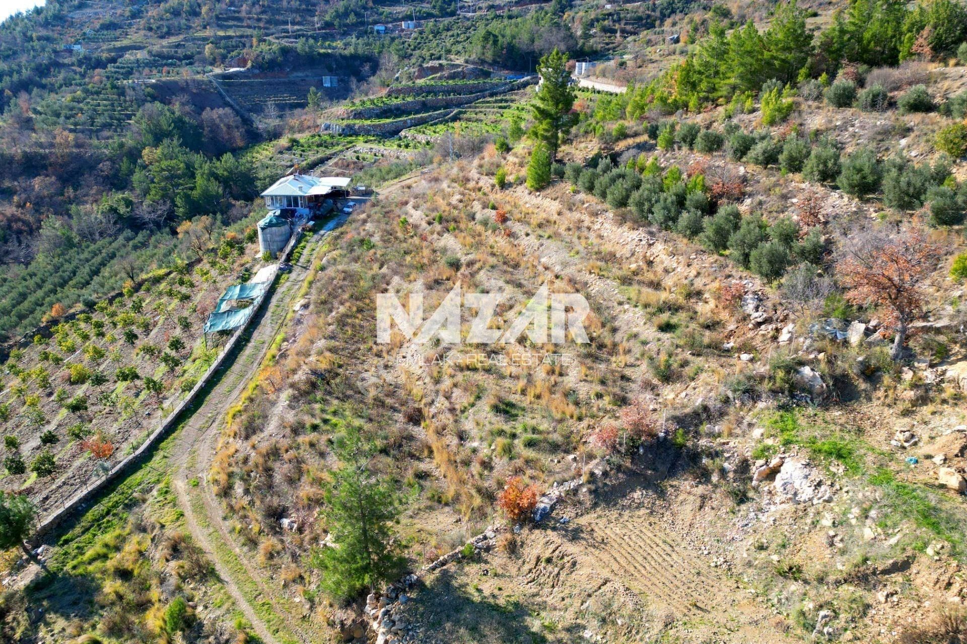 Alanya Yaylakonak’ta 3.299 M² Satılık Tarla - Görsel 14