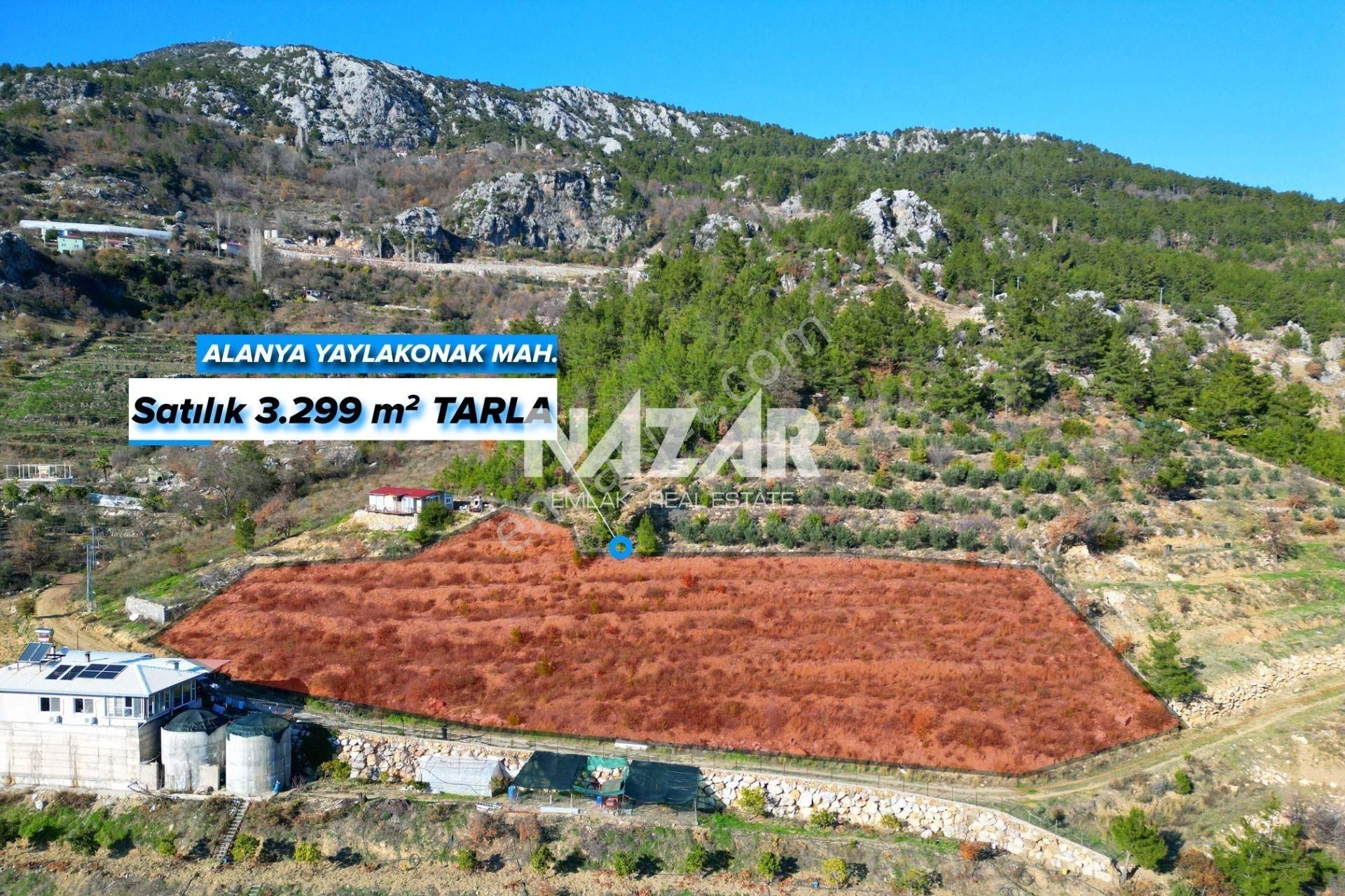 Alanya Yaylakonak’ta 3.299 M² Satılık Tarla - Görsel 2