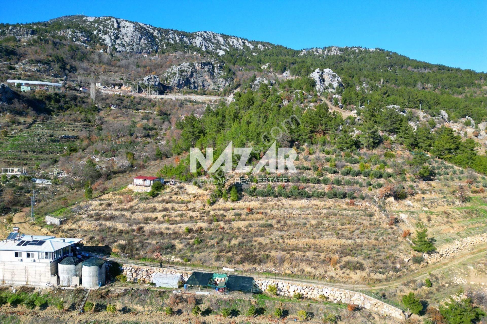 Alanya Yaylakonak’ta 3.299 M² Satılık Tarla
