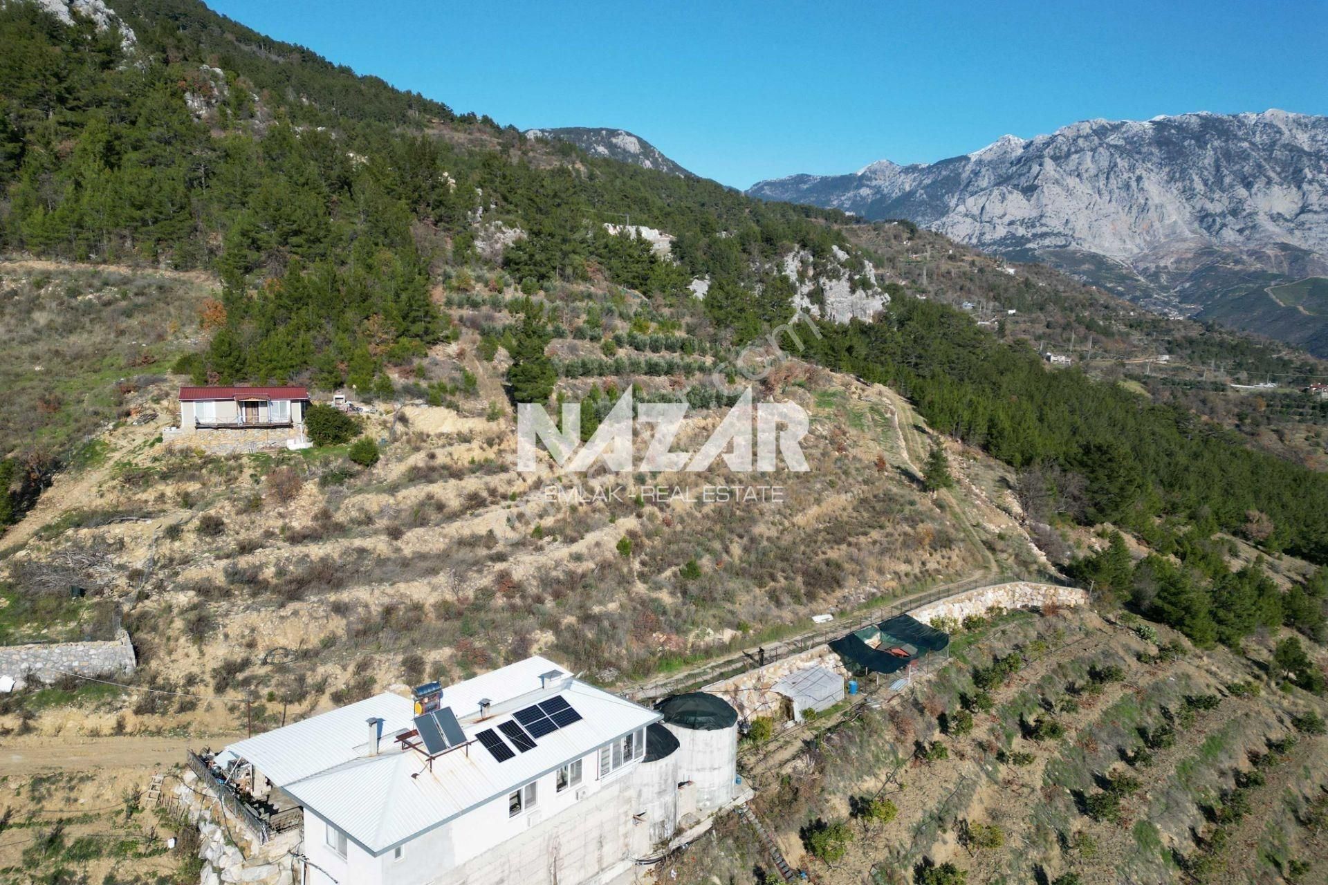 Alanya Yaylakonak’ta 3.299 M² Satılık Tarla - Görsel 8
