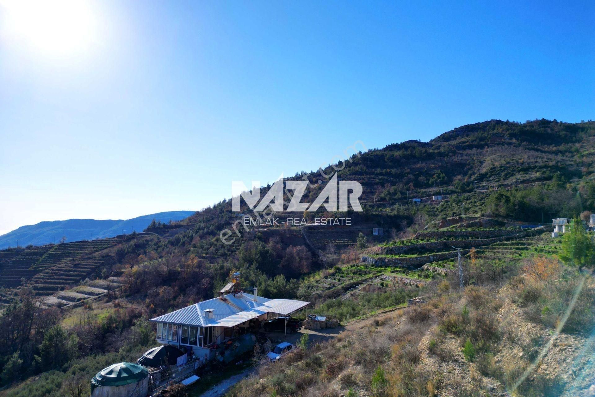 Alanya Yaylakonak’ta 3.299 M² Satılık Tarla - Görsel 12