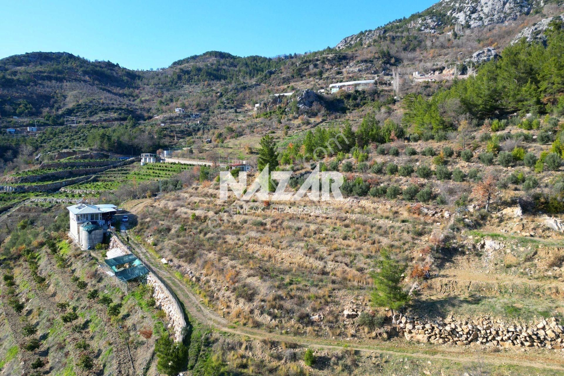 Alanya Yaylakonak’ta 3.299 M² Satılık Tarla - Görsel 6