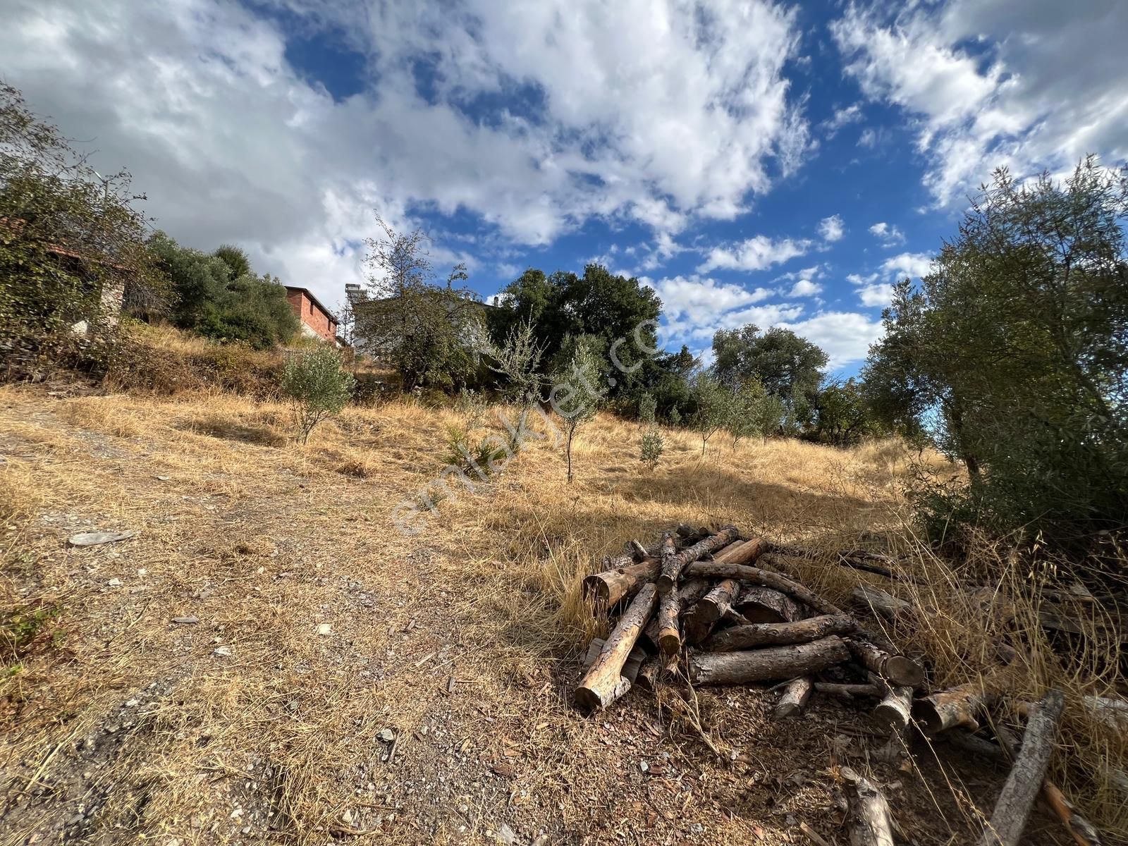 Milas Kalem'de - Doğa İle İç İçe Müstakil Ev - Pehlevanlar'dan - Görsel 15