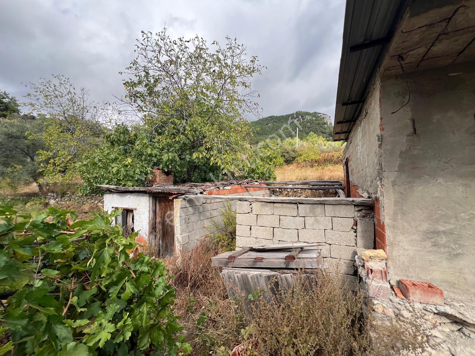 Milas Kalem'de - Doğa İle İç İçe Müstakil Ev - Pehlevanlar'dan - Görsel 5