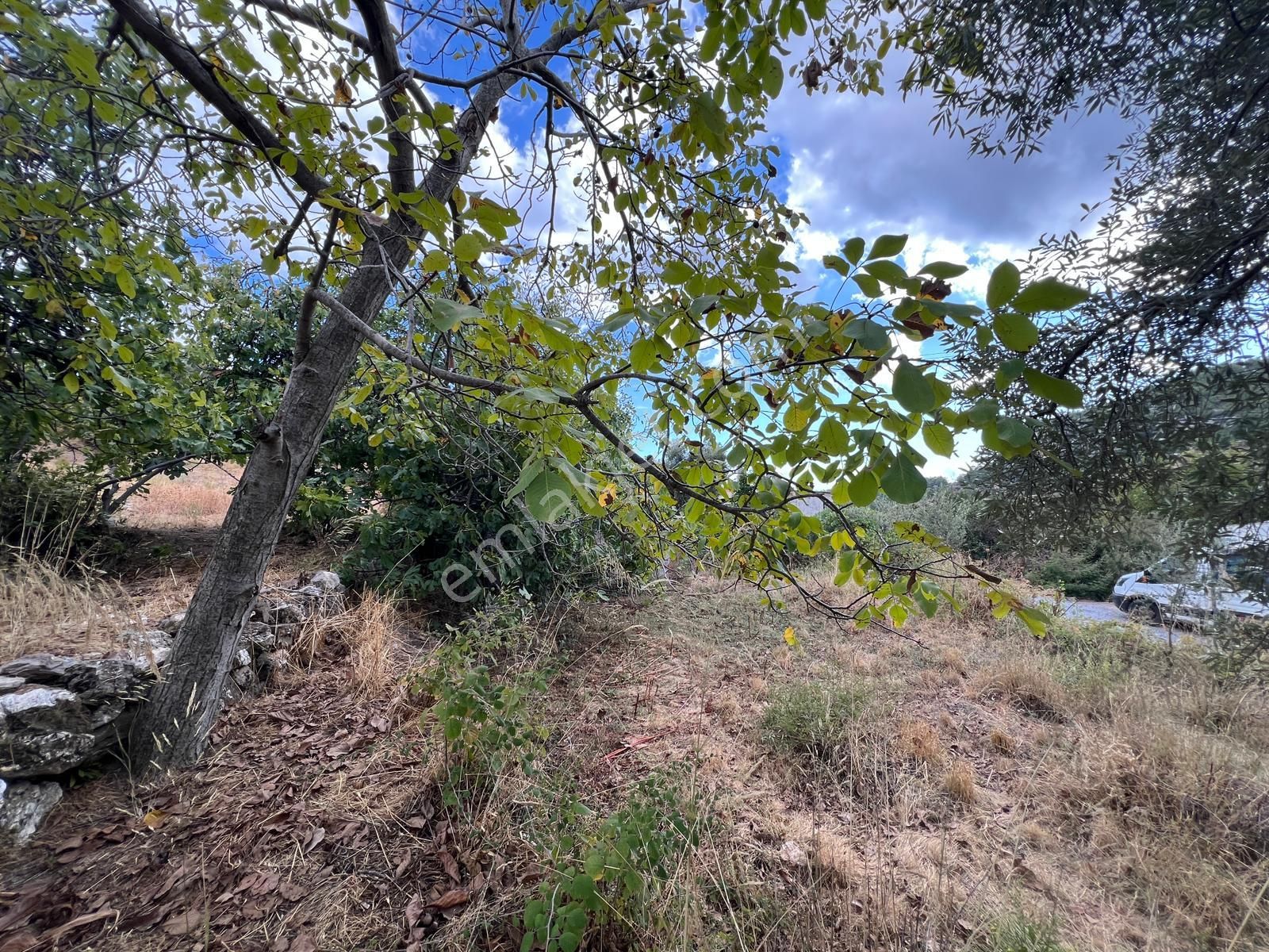 Milas Kalem'de - Doğa İle İç İçe Müstakil Ev - Pehlevanlar'dan - Görsel 9