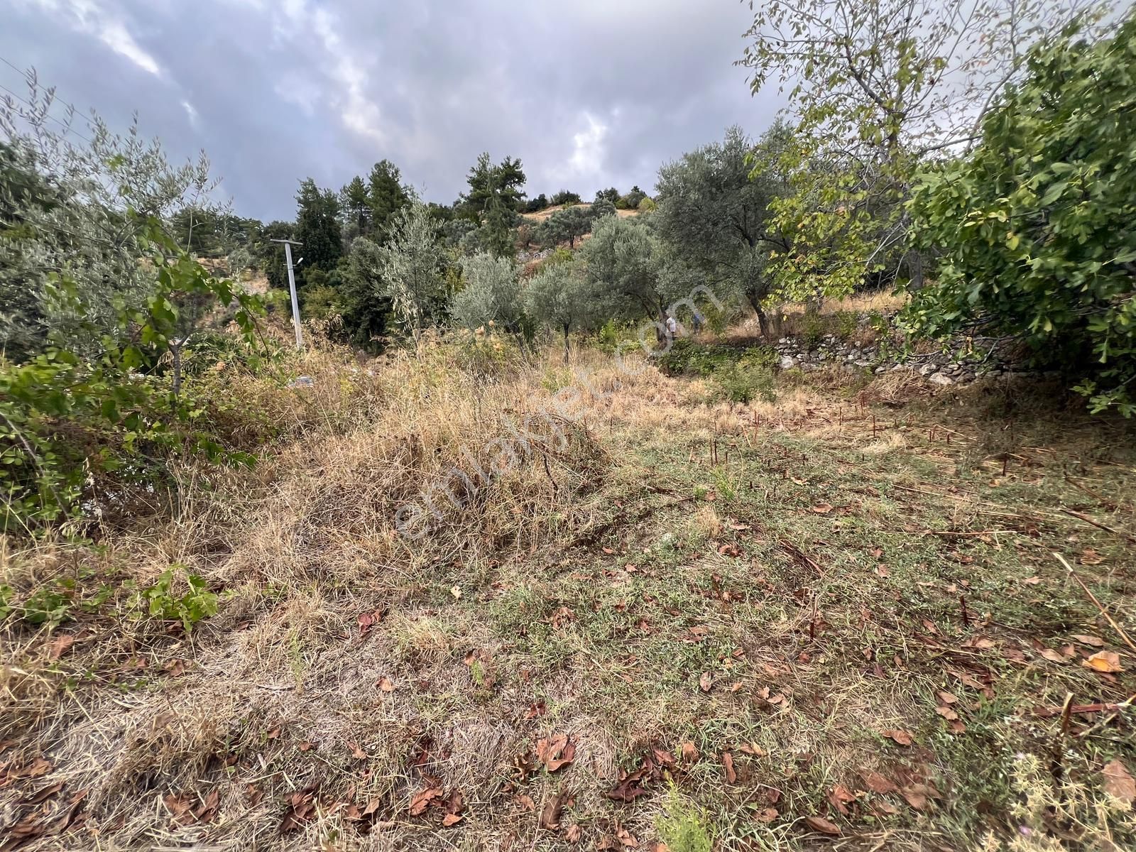 Milas Kalem'de - Doğa İle İç İçe Müstakil Ev - Pehlevanlar'dan - Görsel 14