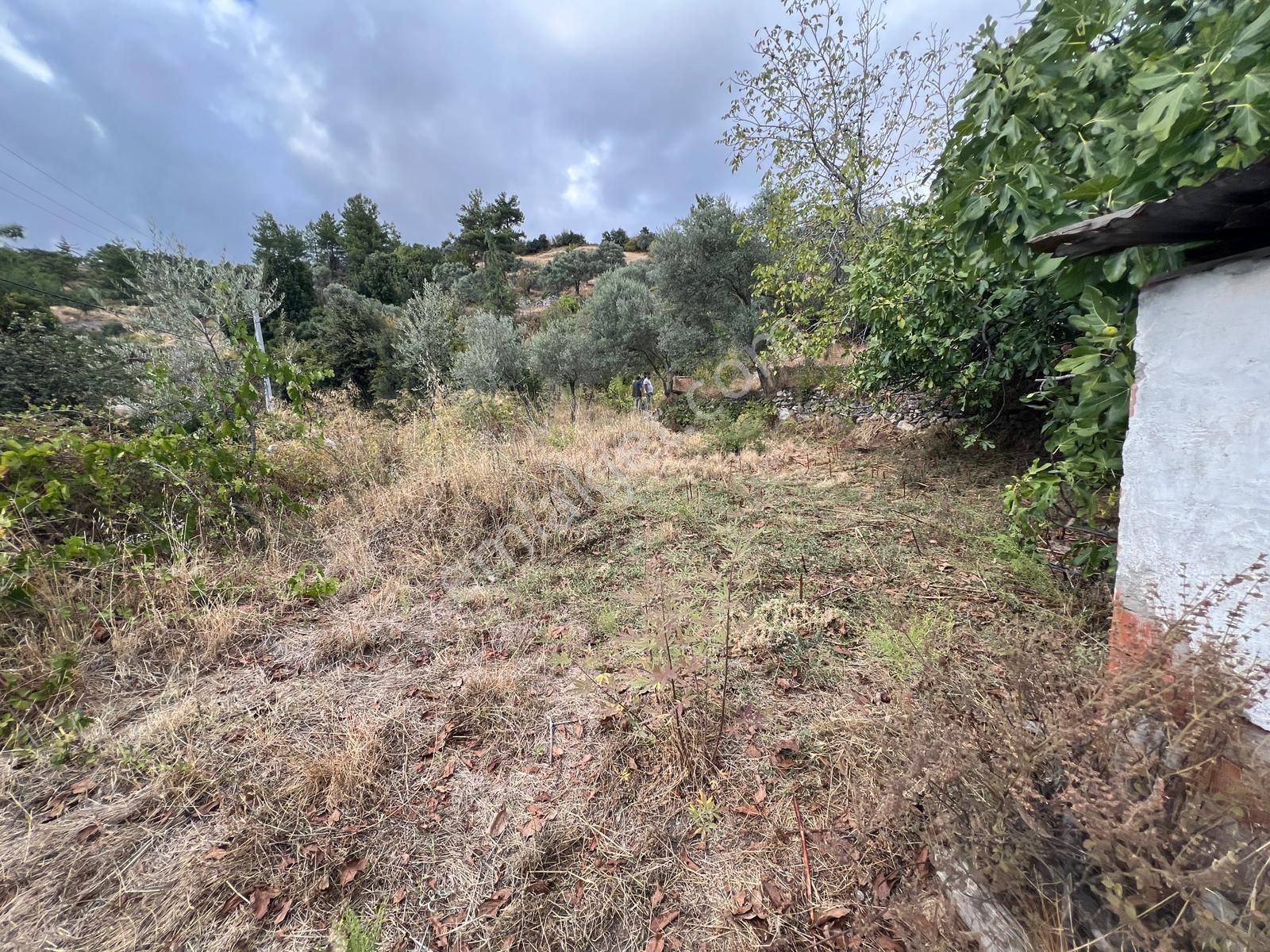 Milas Kalem'de - Doğa İle İç İçe Müstakil Ev - Pehlevanlar'dan - Görsel 19