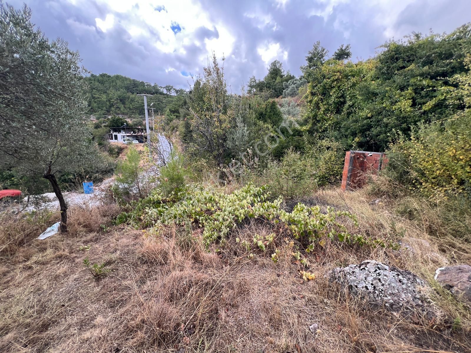 Milas Kalem'de - Doğa İle İç İçe Müstakil Ev - Pehlevanlar'dan - Görsel 6