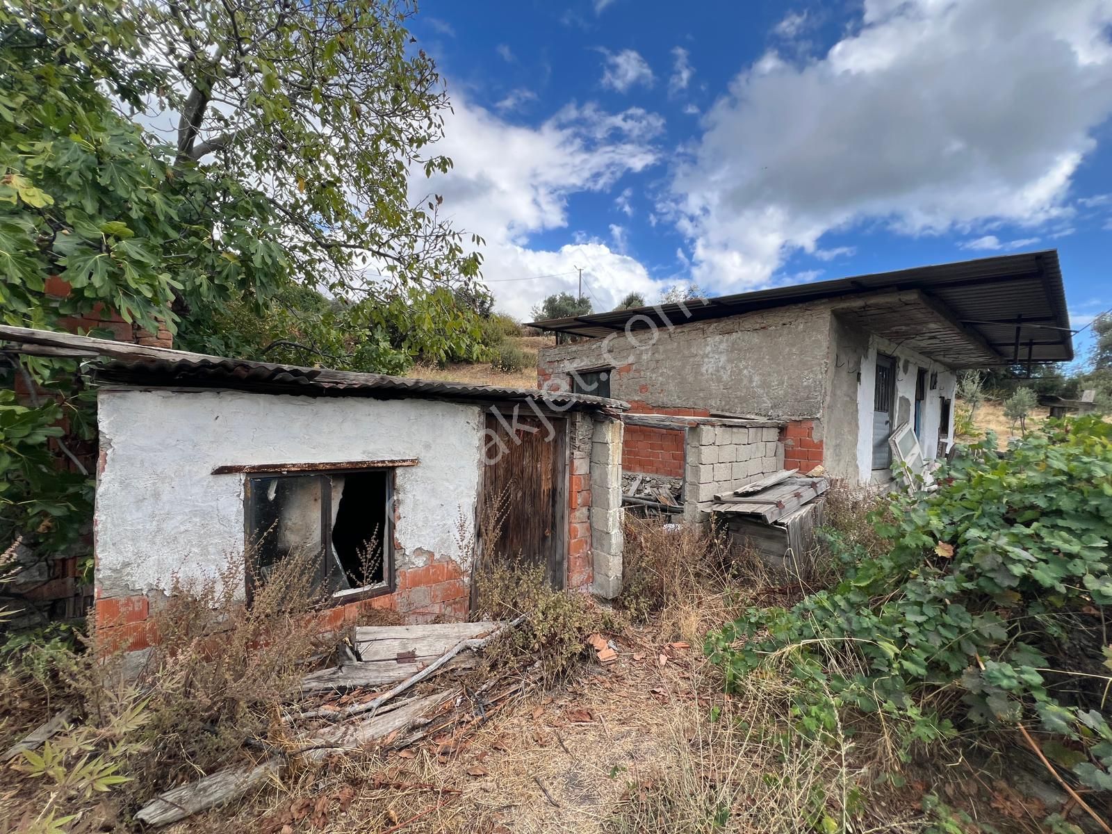 Milas Kalem'de - Doğa İle İç İçe Müstakil Ev - Pehlevanlar'dan - Görsel 3