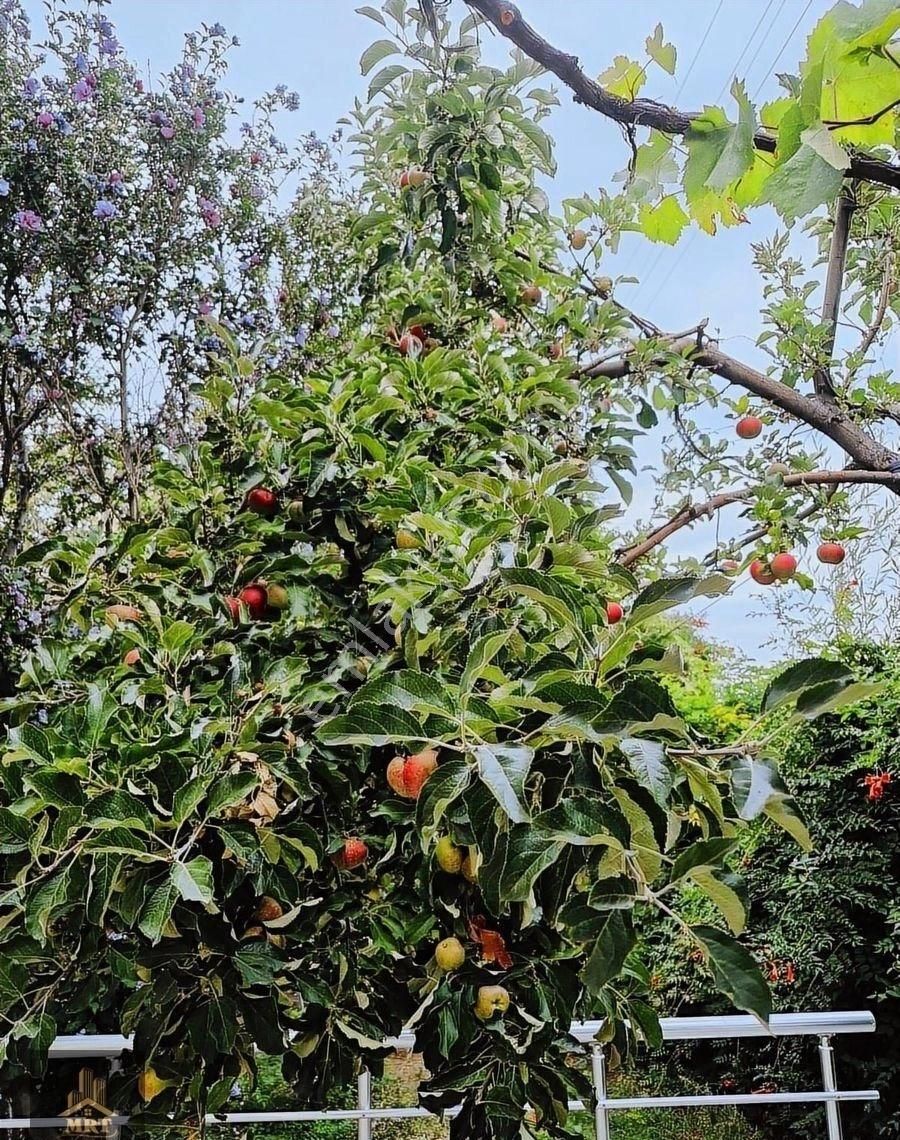 Becen'in Kalbinde Eşsiz Şehir Manzaralı 3 Katlı Bağ Evi - Görsel 17