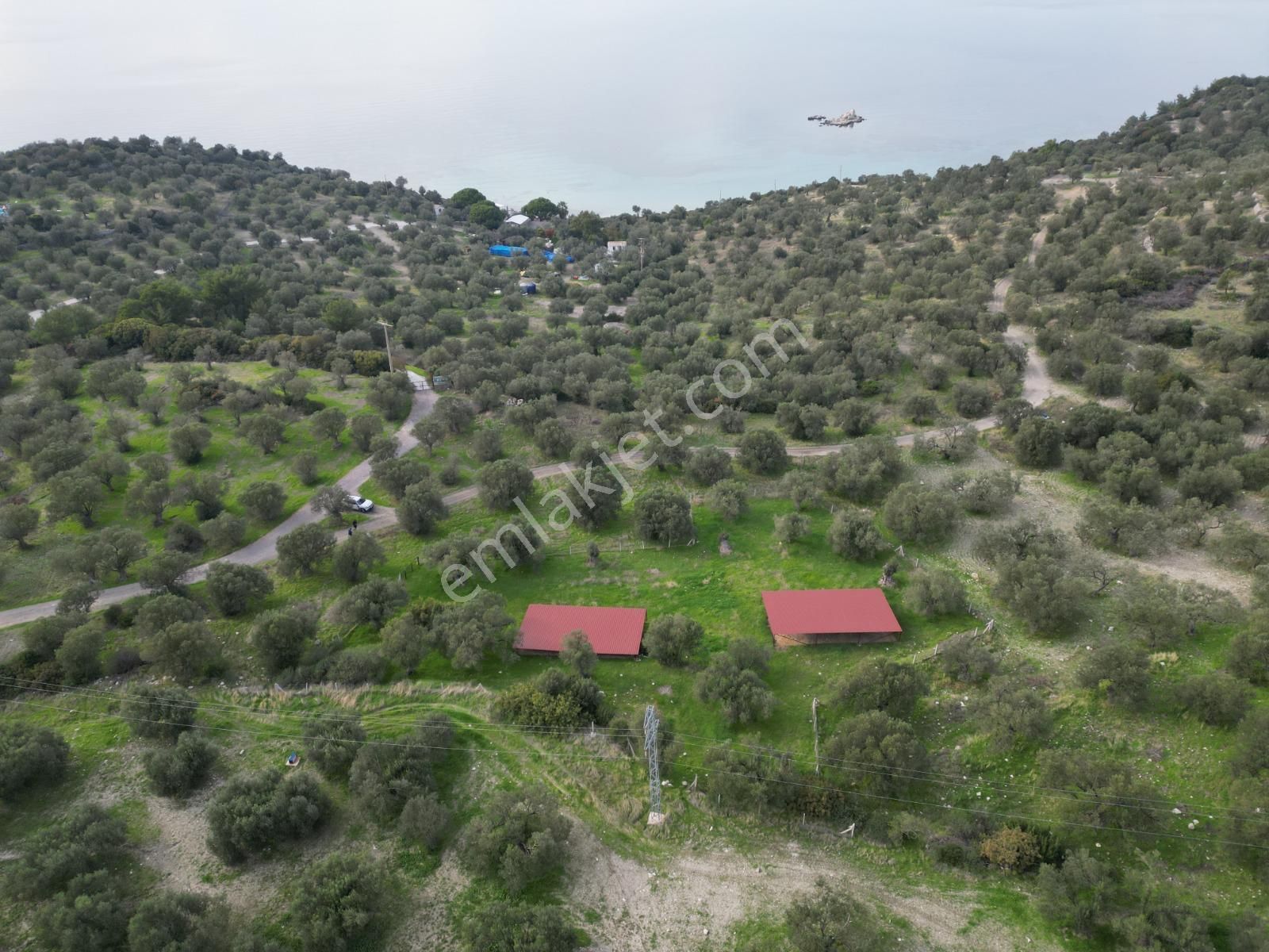 C.b. Route | Bademlide Muazzam Konumda Satılık Zeytinlik - Görsel 3