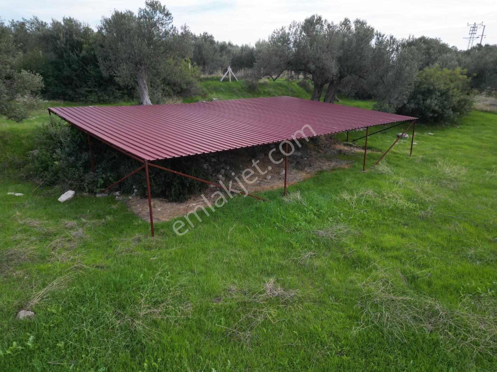 C.b. Route | Bademlide Muazzam Konumda Satılık Zeytinlik - Görsel 13