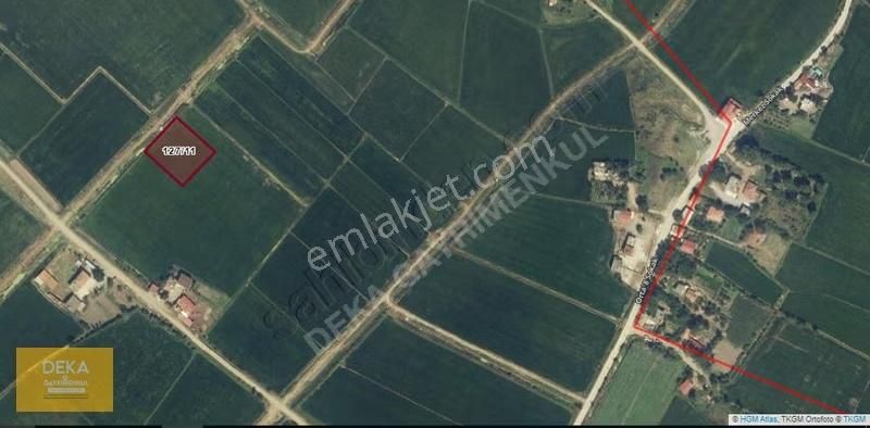 Deka Gayrimenkul'den Bafra Koruluk'ta 2566 M² Satılık Tarla