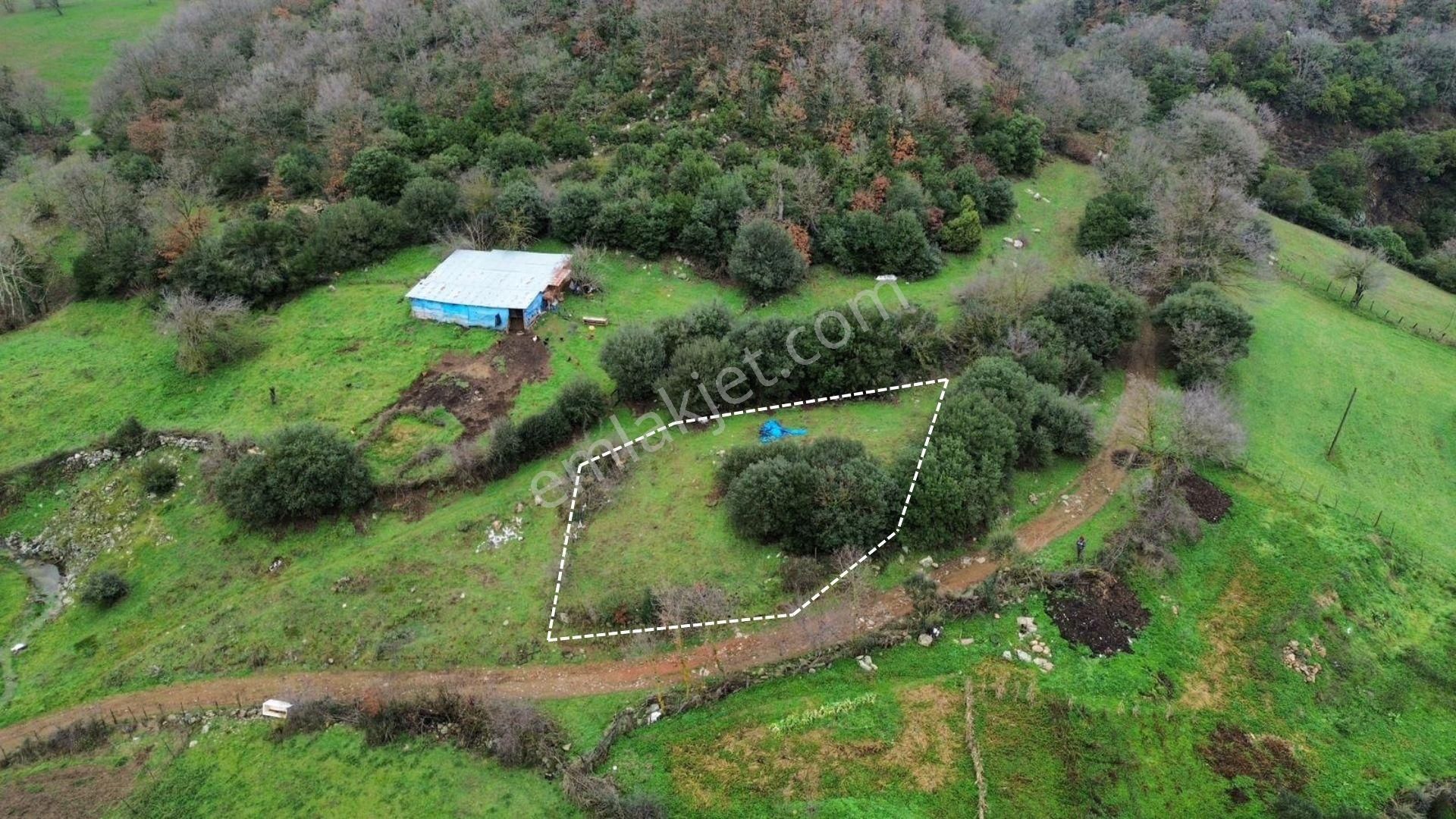 Biga Kazmalıda Fırsat: Toplam 31.113 M² Satılık Tarla - Görsel 2