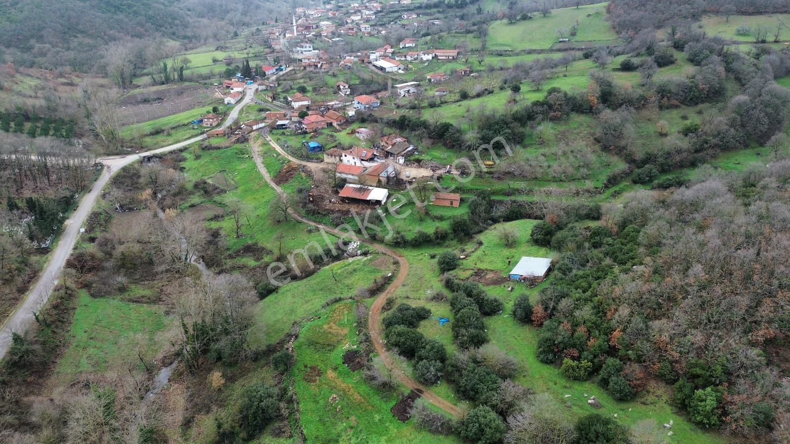 Biga Kazmalıda Fırsat: Toplam 31.113 M² Satılık Tarla