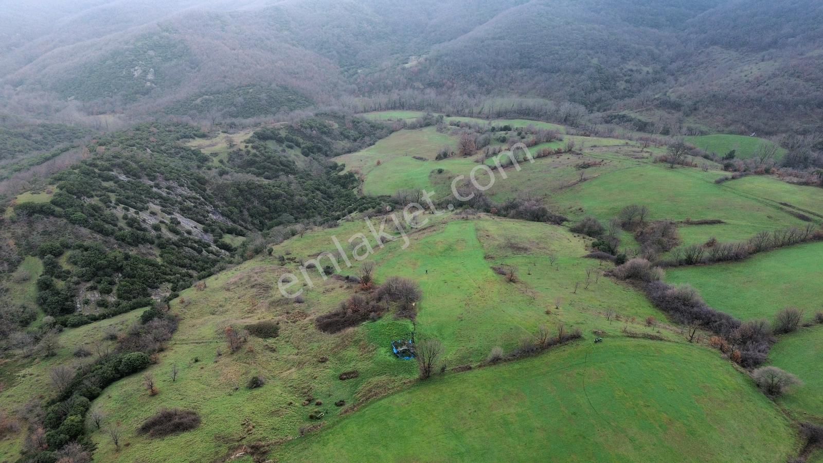 Biga Kazmalıda Fırsat: Toplam 31.113 M² Satılık Tarla - Görsel 11