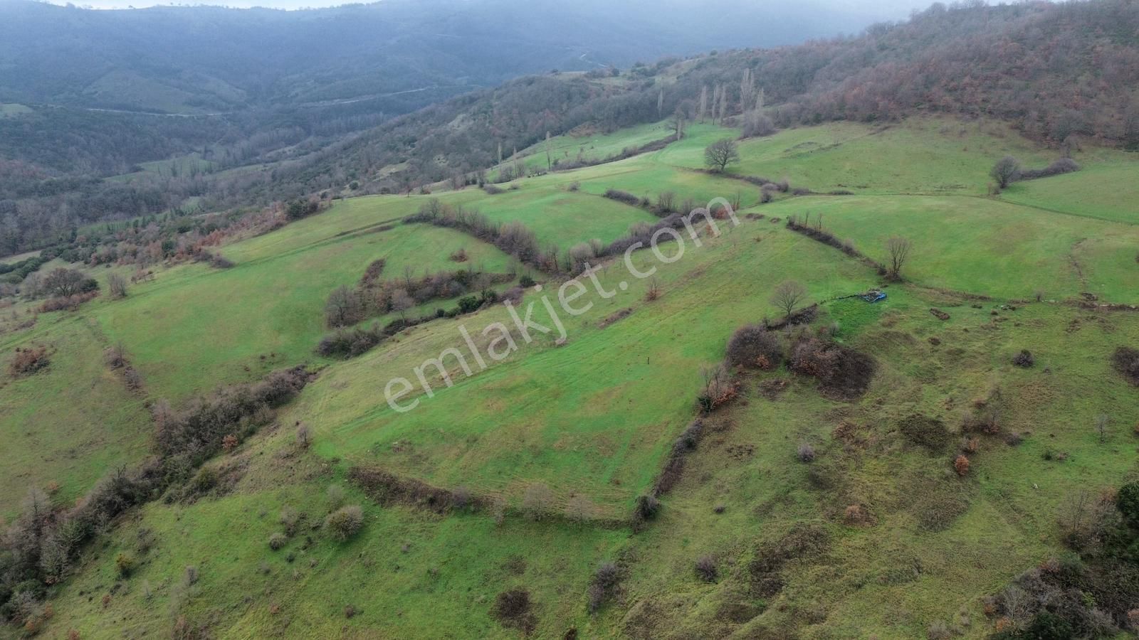 Biga Kazmalıda Fırsat: Toplam 31.113 M² Satılık Tarla - Görsel 10