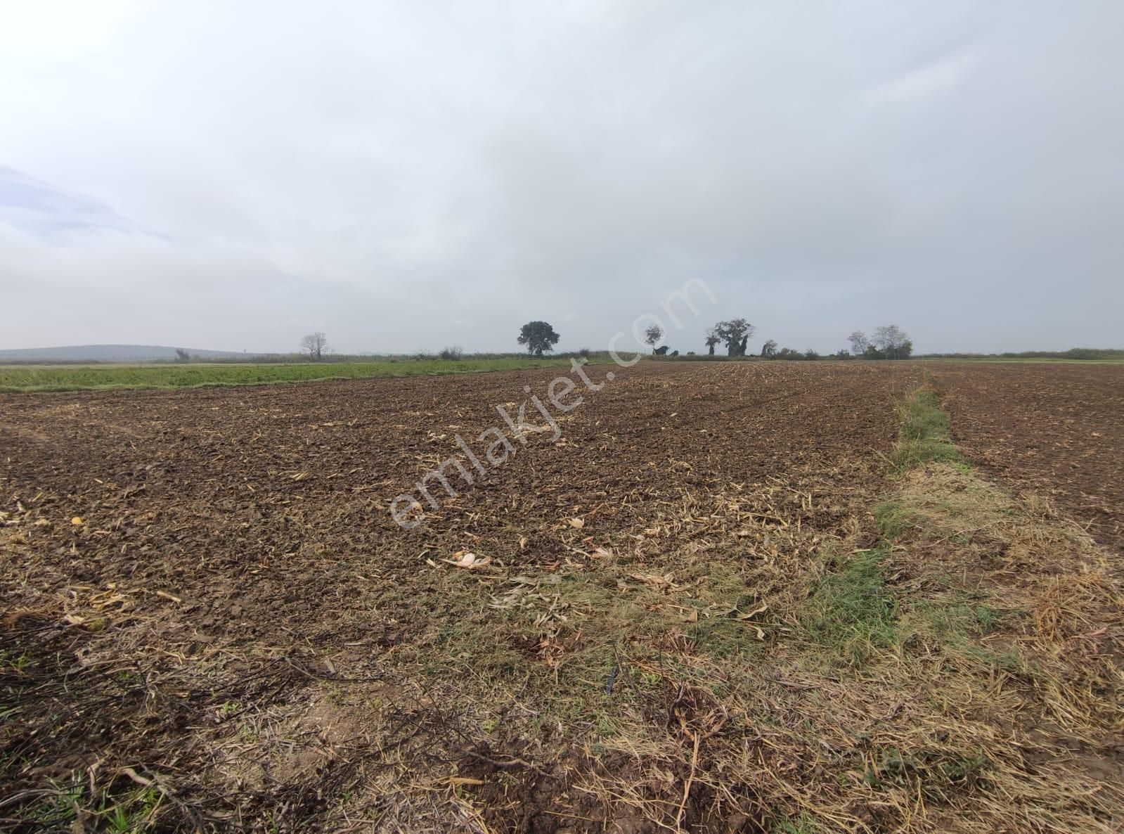 Bursa Mustafakemalpaşa Tepecikte Tarla (8.550 M2) - Görsel 4