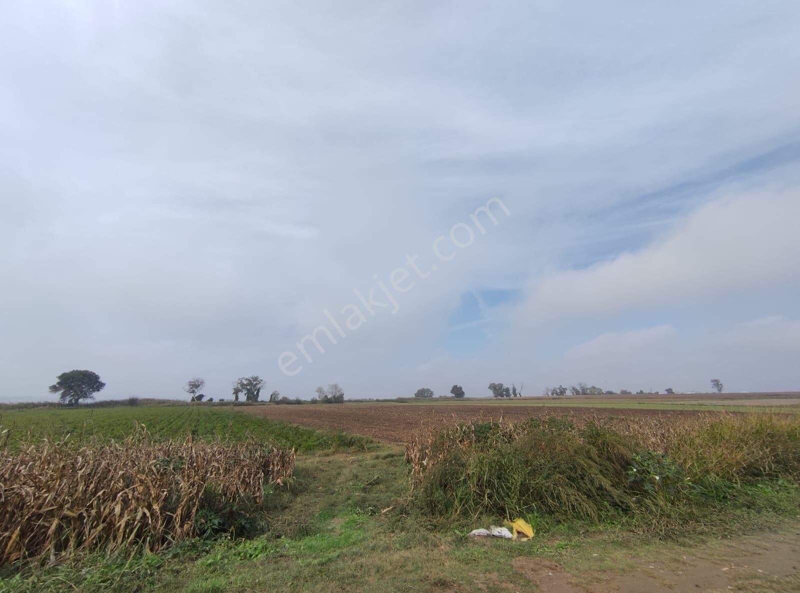 Bursa Mustafakemalpaşa Tepecikte Tarla (8.550 M2) - Görsel 2