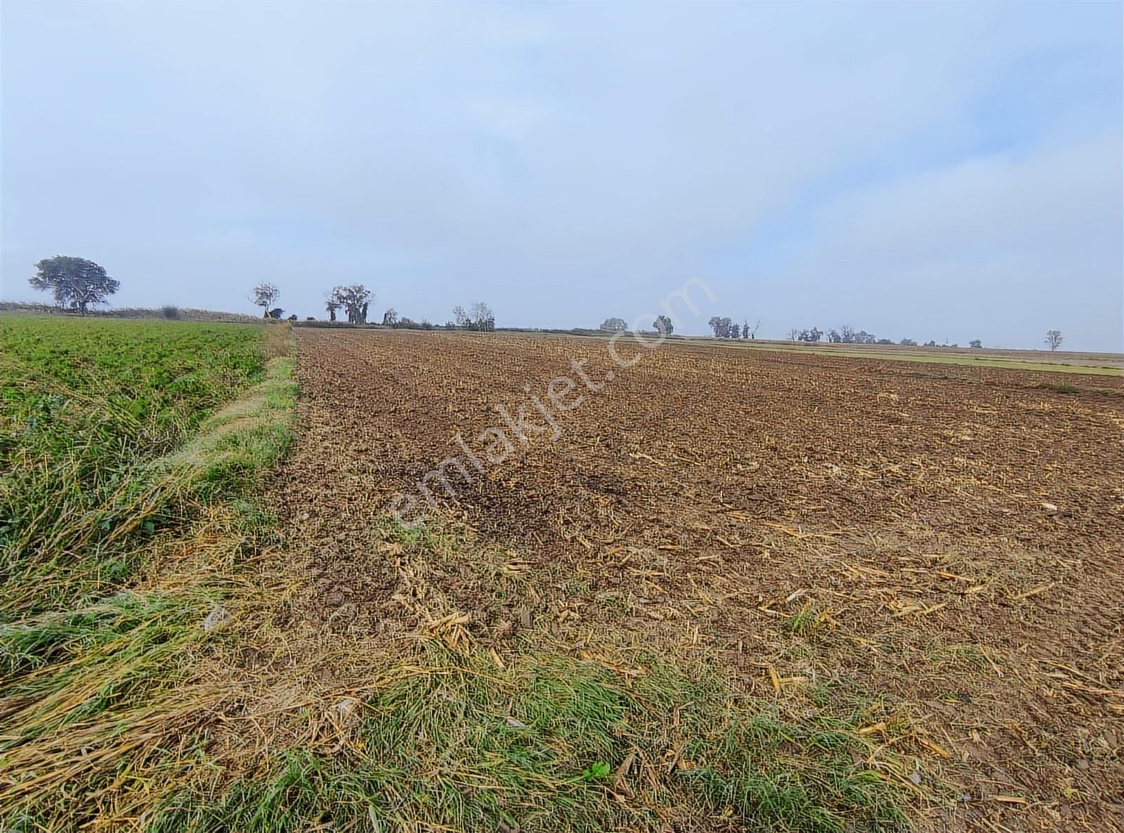 Bursa Mustafakemalpaşa Tepecikte Tarla (8.550 M2)