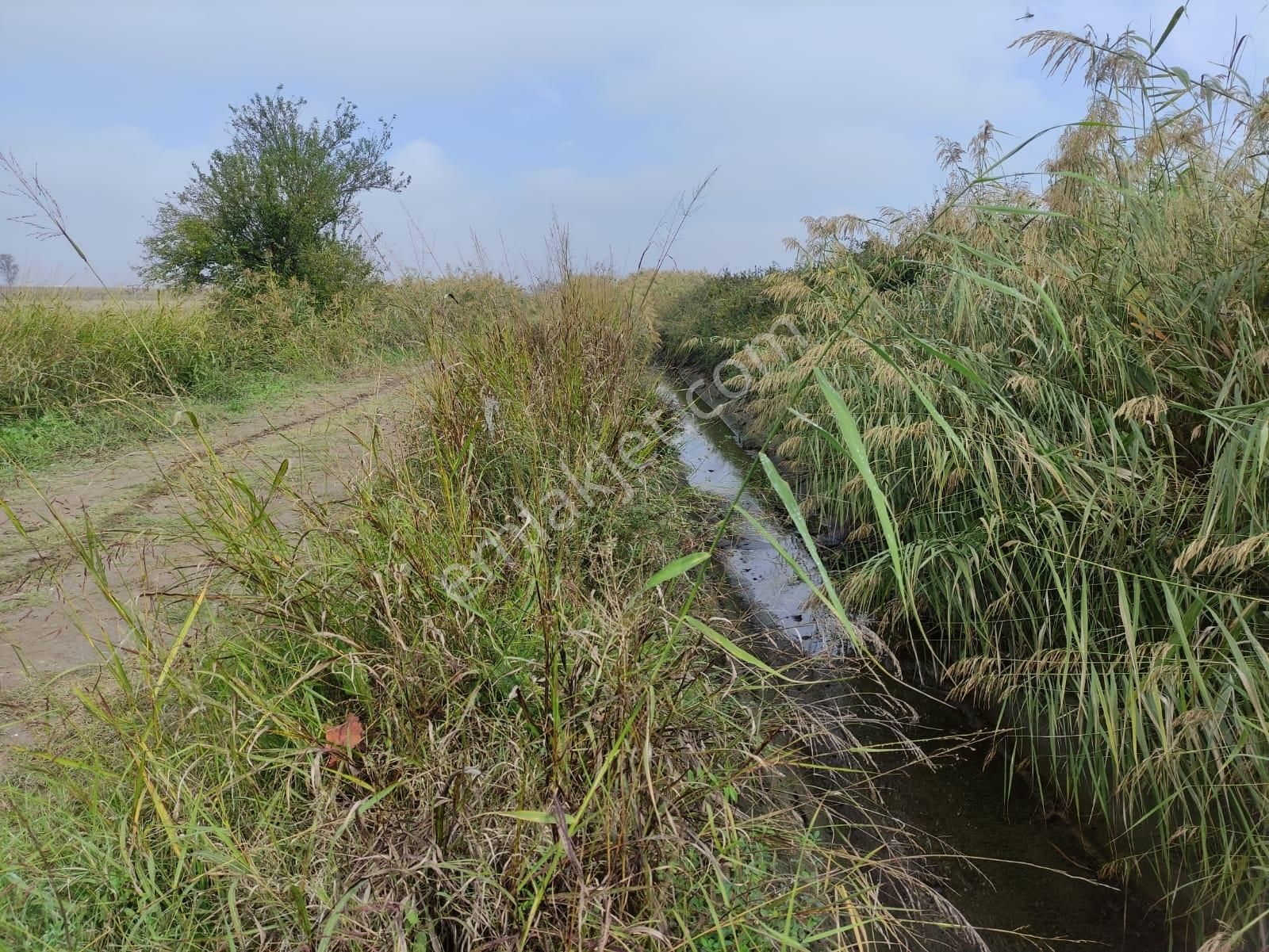 Bursa Mustafakemalpaşa Tepecikte Tarla (8.550 M2) - Görsel 6
