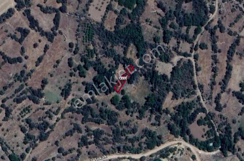 Burdur Yeşilova Büyükyaka Köyünde 325 M² Tarla Satılıktır