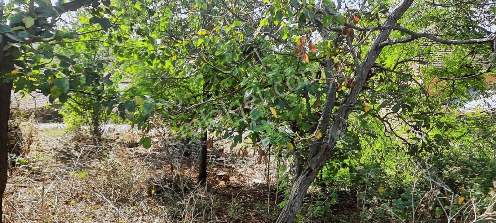 İnegöl Yeniyörük Mh.köy Mrk.de Satılık İmarlı Arsa.hesaplı - Görsel 10