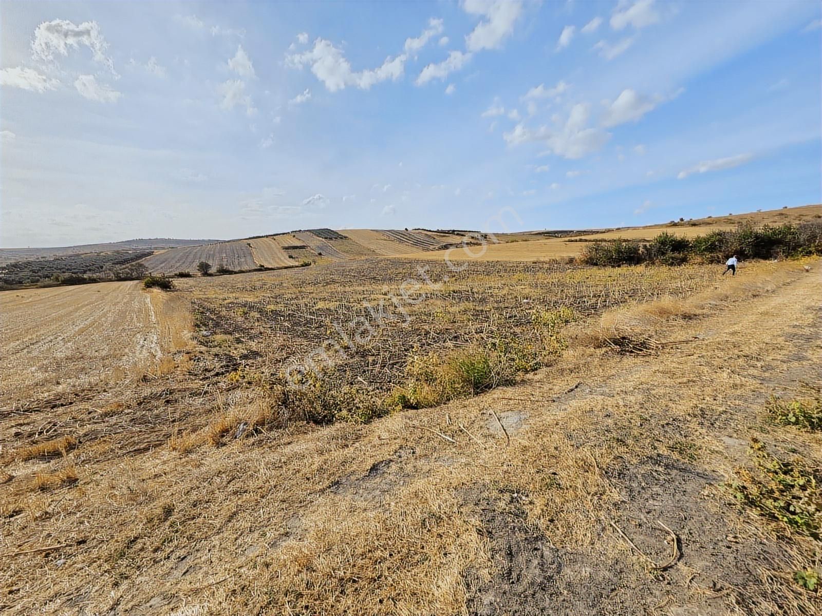 Karacabey Tophisar Mh.de Yeri Ve Konumu Güzel Satılık Tarla - Görsel 10