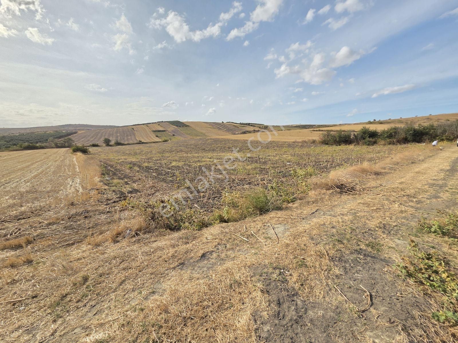 Karacabey Tophisar Mh.de Yeri Ve Konumu Güzel Satılık Tarla - Görsel 12