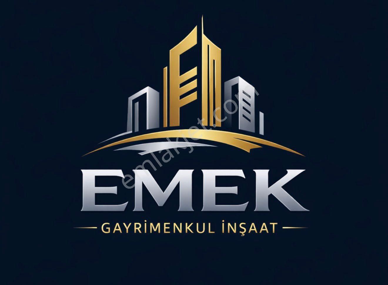 Kilis Musabeyli Yastıcada Zeytinlik - Görsel 6