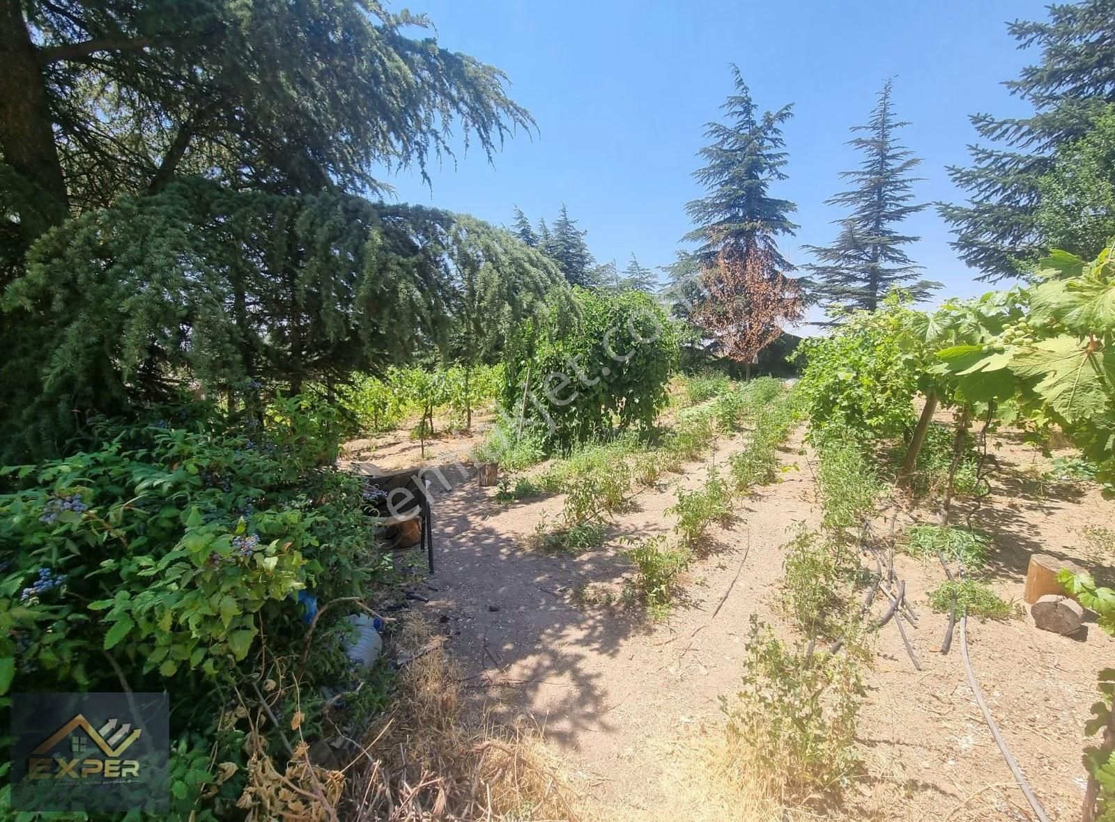 Exper Gayrimenkul'den Yola Cepheli Yatırımlık Satılık Arazi - Görsel 2