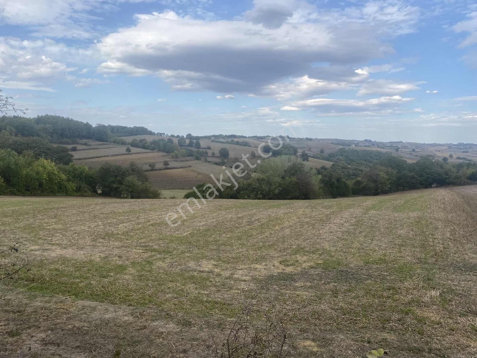 Kocaeli Araman Da Adapazarı Kandıra Yoluna Cepheli 3506 M2 Tarla - Görsel 26