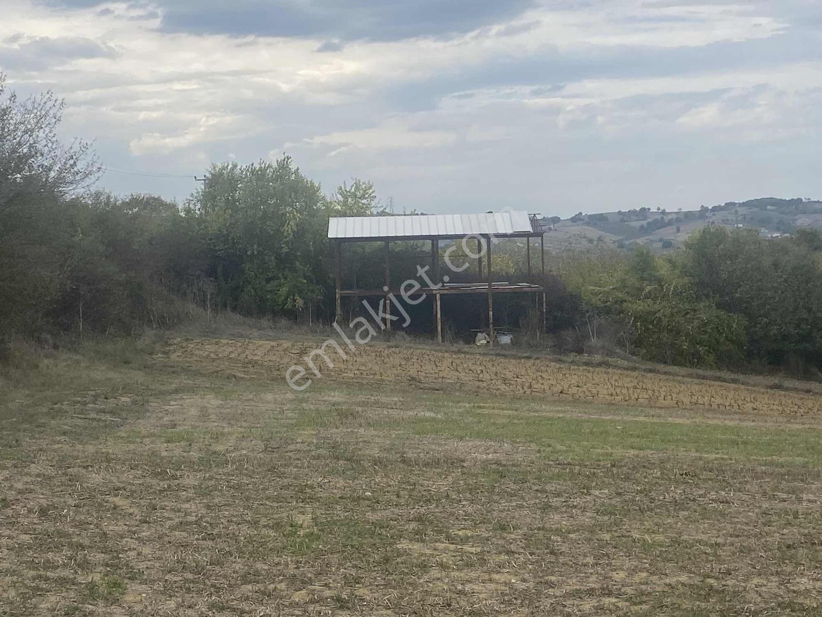 Kocaeli Araman Da Adapazarı Kandıra Yoluna Cepheli 3506 M2 Tarla - Görsel 24