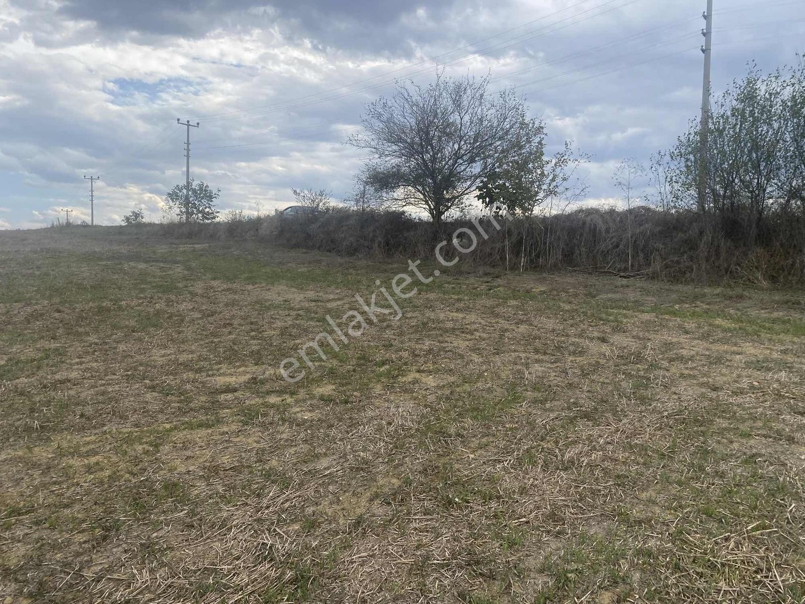 Kocaeli Araman Da Adapazarı Kandıra Yoluna Cepheli 3506 M2 Tarla - Görsel 6