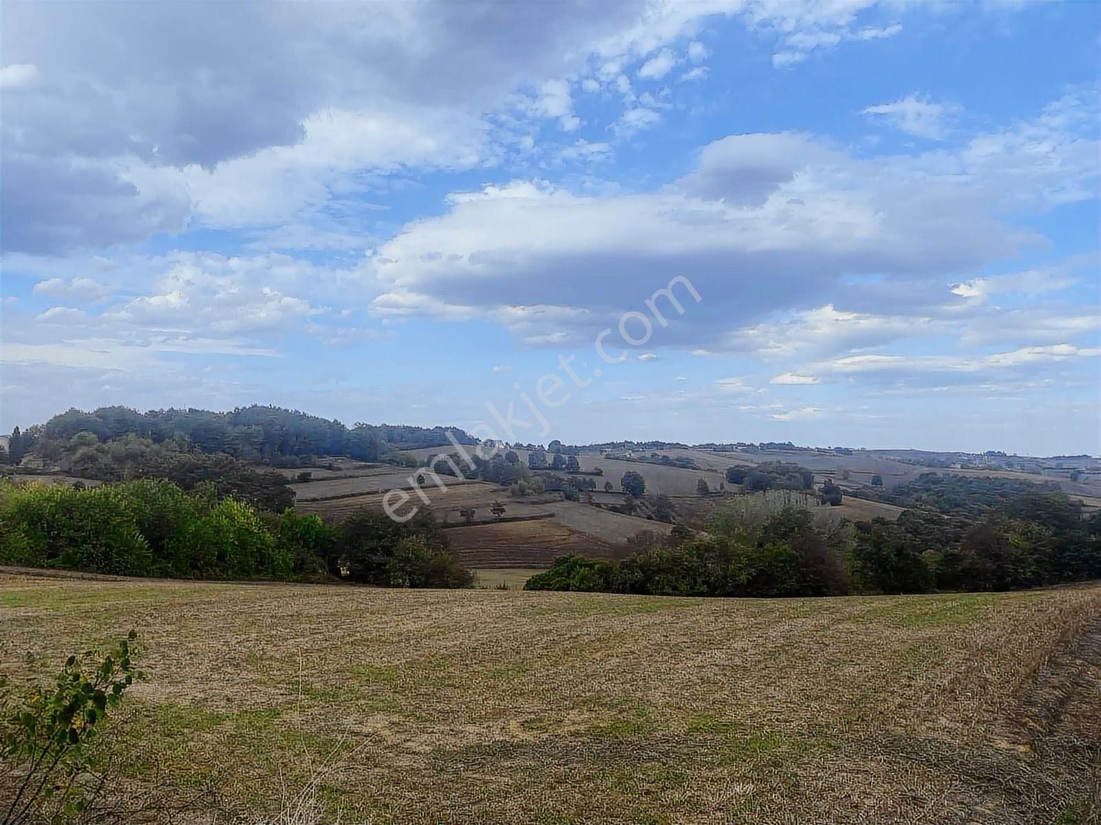 Kocaeli Araman Da Adapazarı Kandıra Yoluna Cepheli 3506 M2 Tarla - Görsel 21