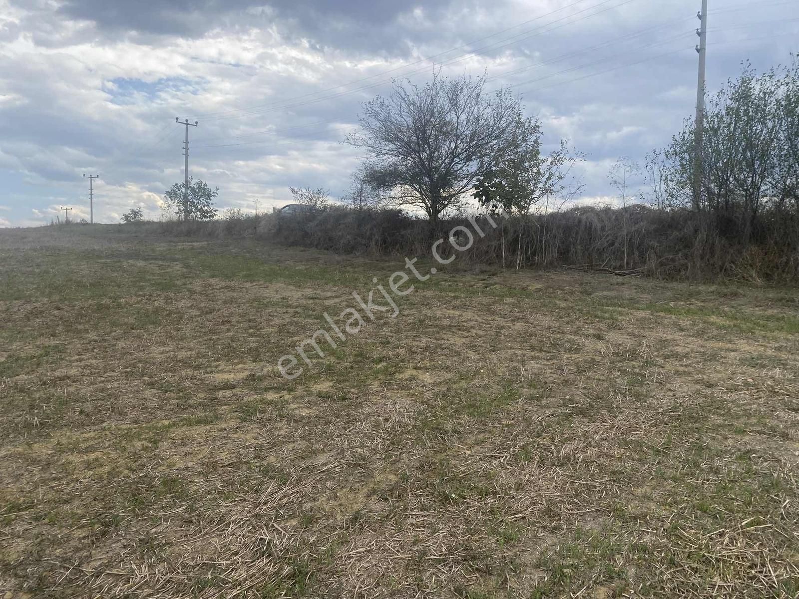 Kocaeli Araman Da Adapazarı Kandıra Yoluna Cepheli 3506 M2 Tarla - Görsel 5