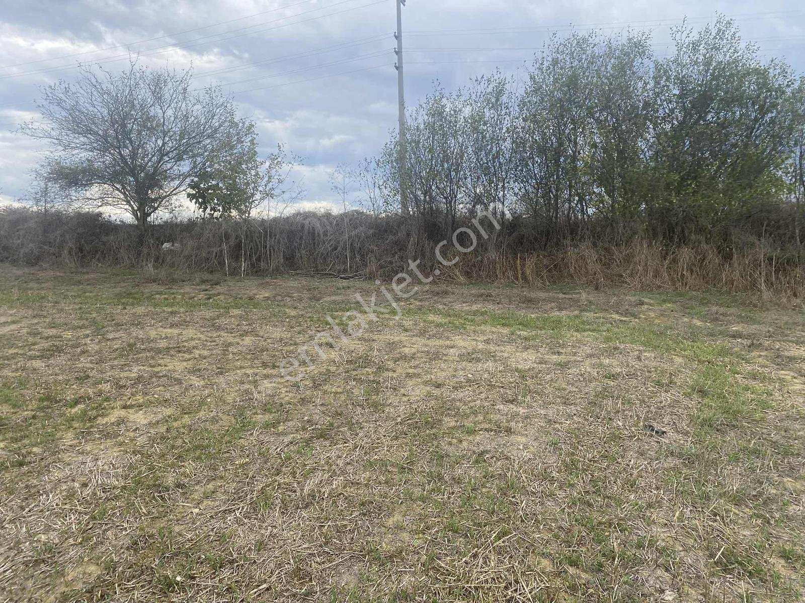 Kocaeli Araman Da Adapazarı Kandıra Yoluna Cepheli 3506 M2 Tarla - Görsel 5