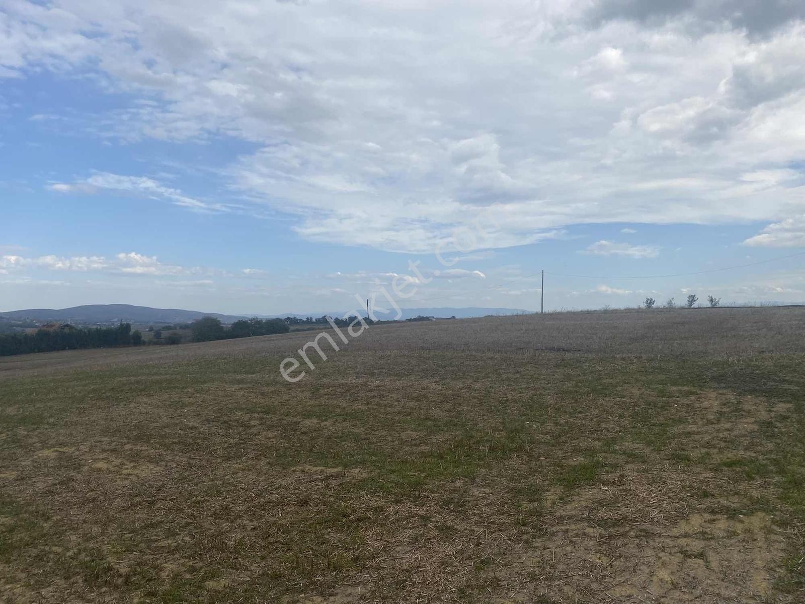 Kocaeli Araman Da Adapazarı Kandıra Yoluna Cepheli 3506 M2 Tarla - Görsel 9