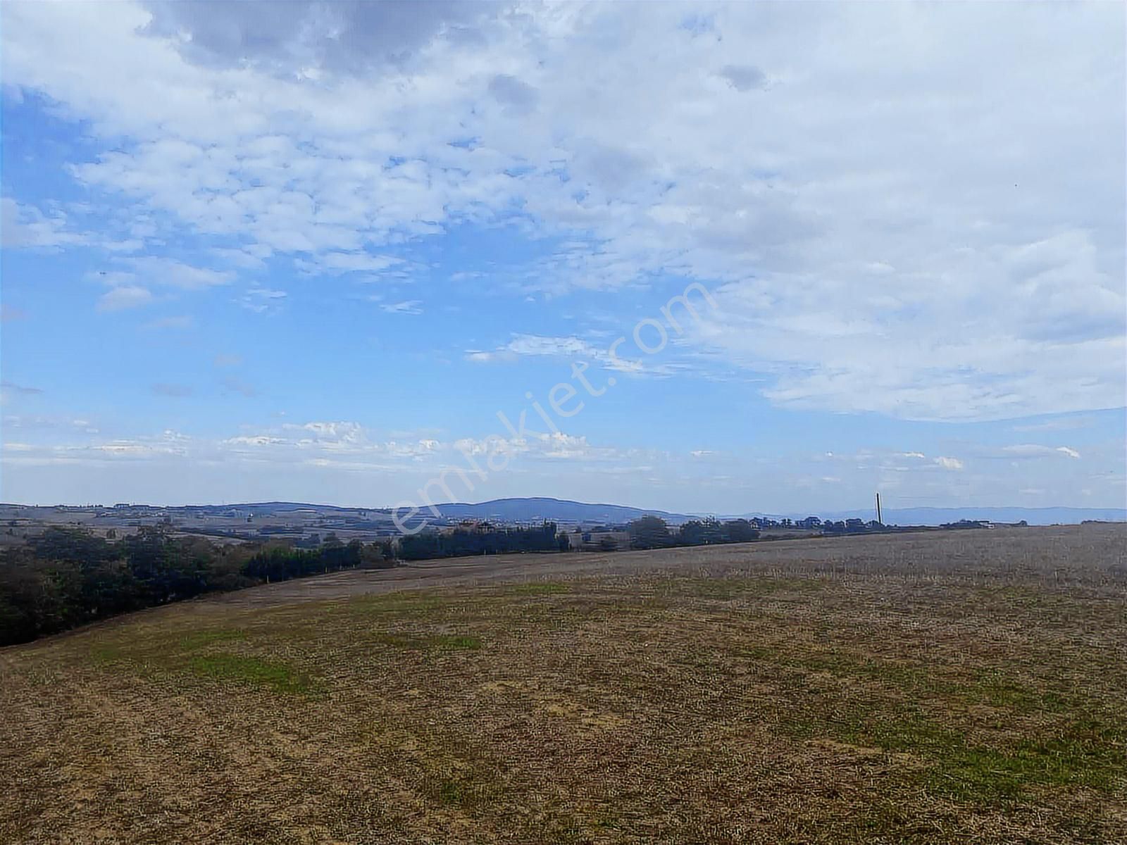 Kocaeli Araman Da Adapazarı Kandıra Yoluna Cepheli 3506 M2 Tarla - Görsel 7