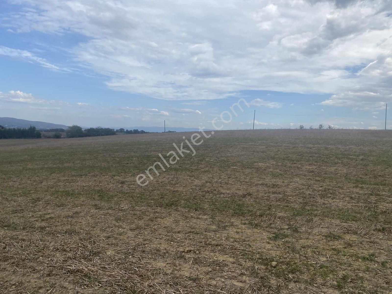 Kocaeli Araman Da Adapazarı Kandıra Yoluna Cepheli 3506 M2 Tarla - Görsel 3