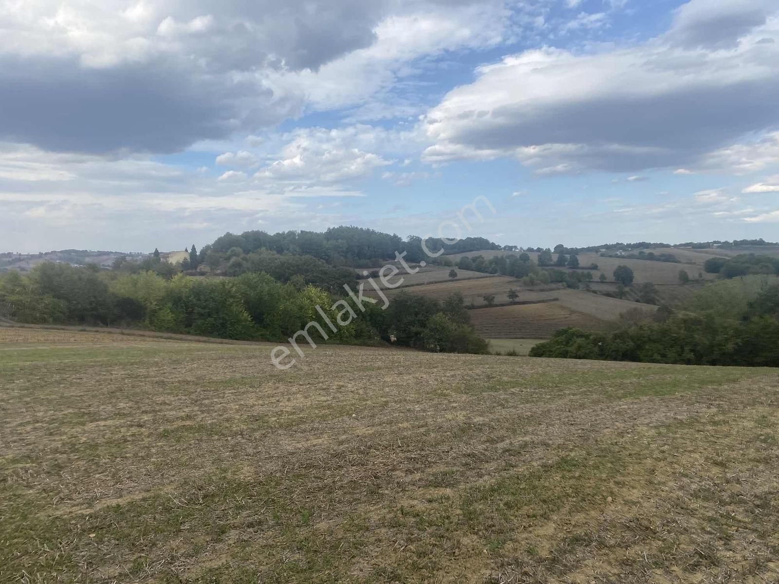 Kocaeli Araman Da Adapazarı Kandıra Yoluna Cepheli 3506 M2 Tarla - Görsel 24