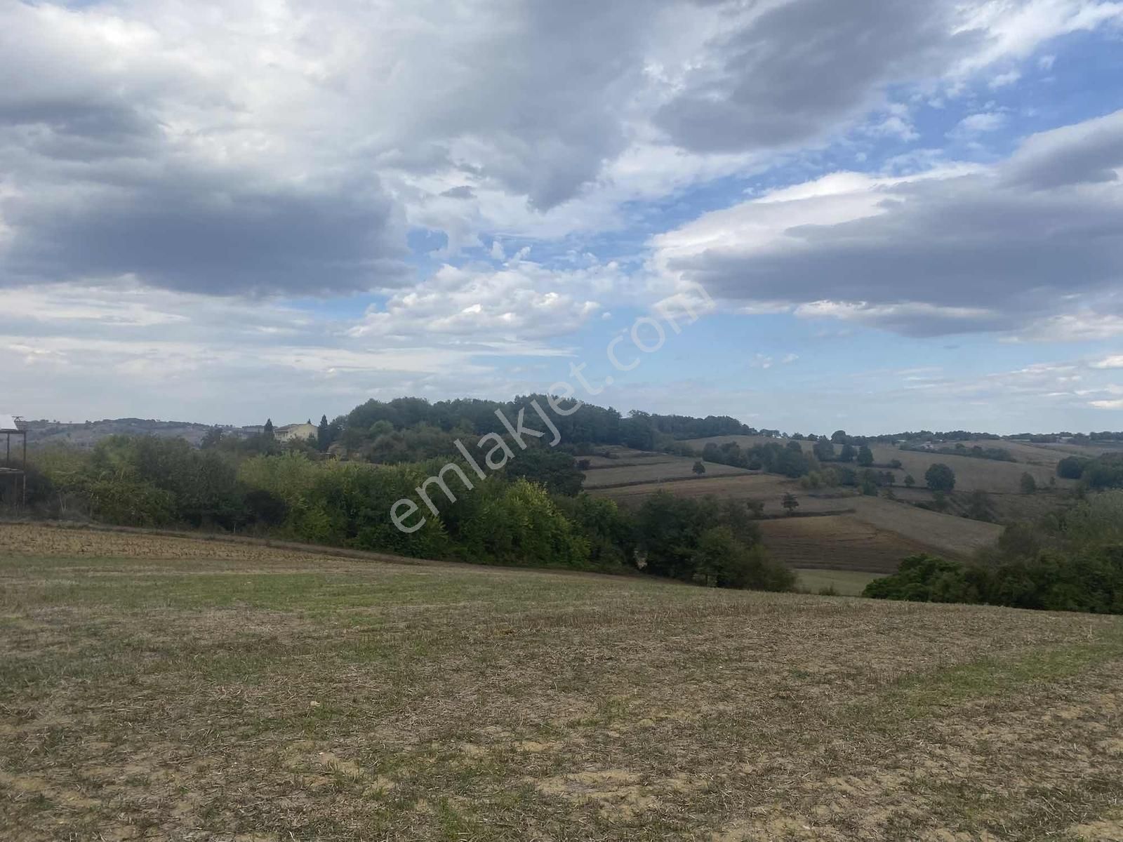 Kocaeli Araman Da Adapazarı Kandıra Yoluna Cepheli 3506 M2 Tarla - Görsel 2