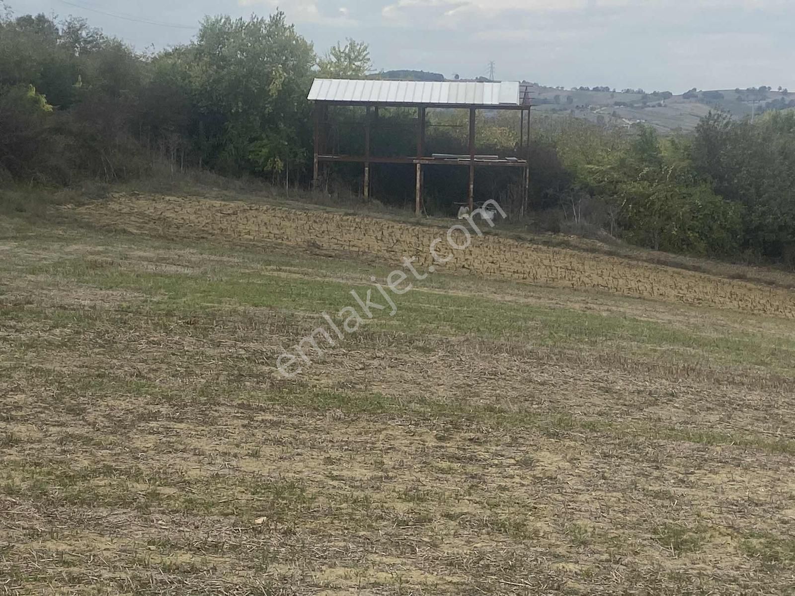 Kocaeli Araman Da Adapazarı Kandıra Yoluna Cepheli 3506 M2 Tarla - Görsel 13