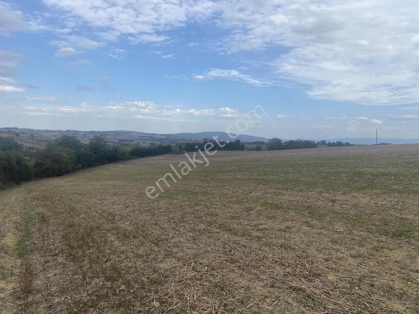Kocaeli Araman Da Adapazarı Kandıra Yoluna Cepheli 3506 M2 Tarla - Görsel 8