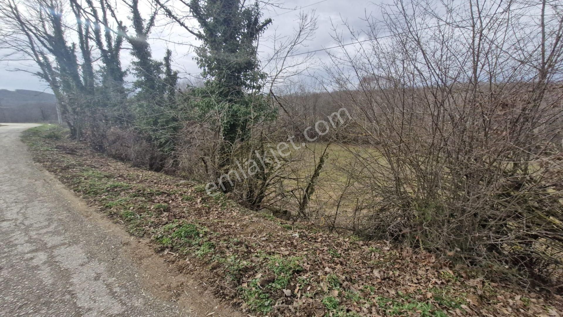 Yalova Altınova Örencik Köyü Satılık Tarla 3363 M2 - Görsel 13