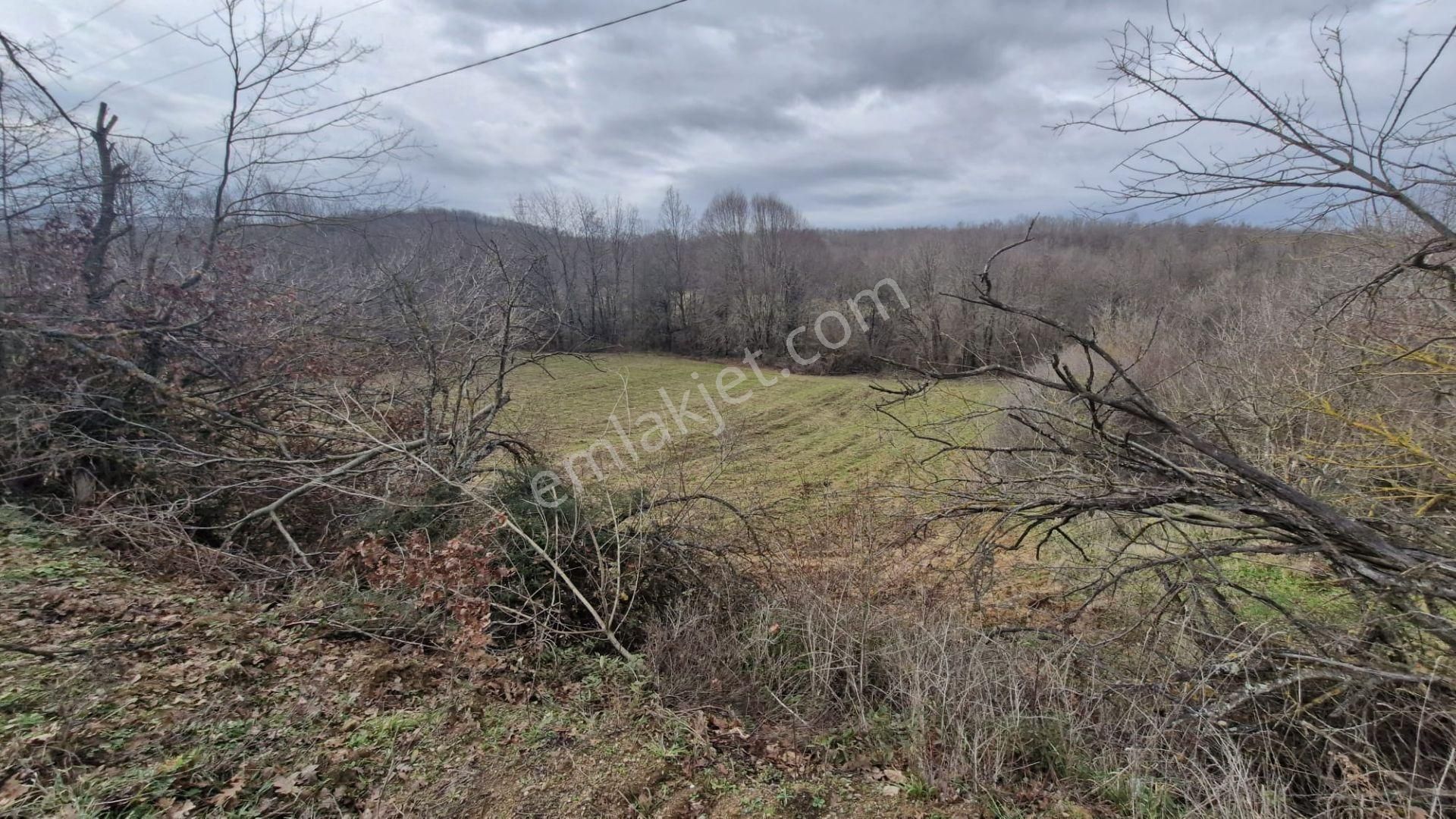 Yalova Altınova Örencik Köyü Satılık Tarla 3363 M2 - Görsel 12