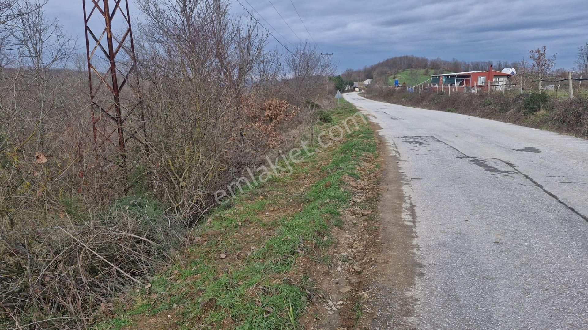 Yalova Altınova Örencik Köyü Satılık Tarla 3363 M2 - Görsel 5