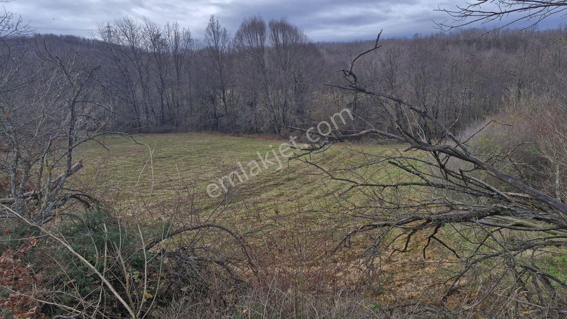 Yalova Altınova Örencik Köyü Satılık Tarla 3363 M2 - Görsel 4