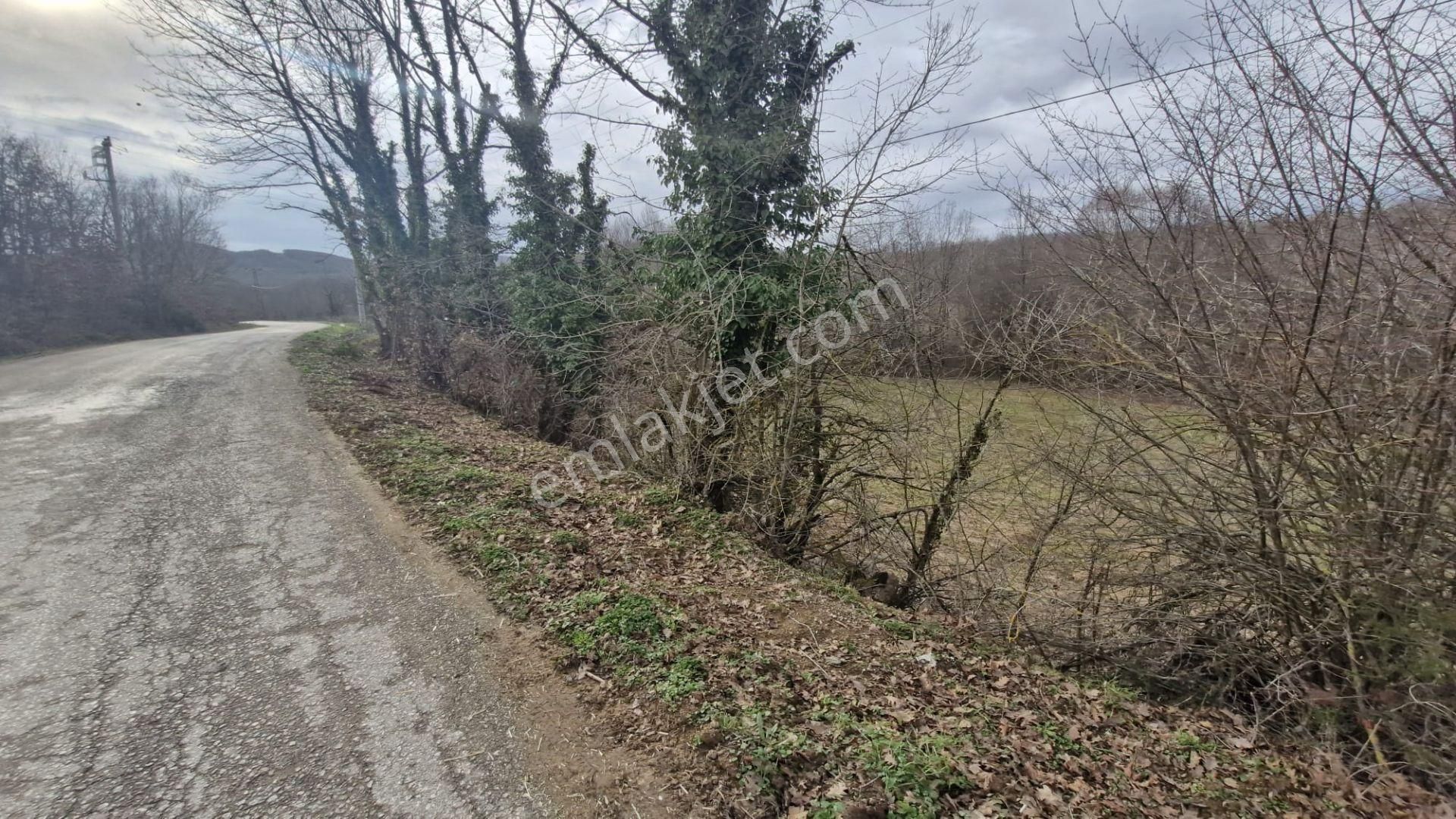 Yalova Altınova Örencik Köyü Satılık Tarla 3363 M2 - Görsel 6